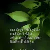 Mukesh Vaishnav
