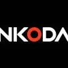 NKODA PPF