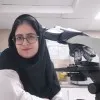 Somayeh parsafar