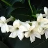 Khadidja Gherbi