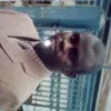 Omorodion Ero Nosakhare Glory
