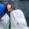 Ariana Malta