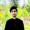 Gulfam Hussain