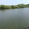 Navin Kumar