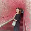 xueqing Lin