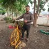Sagar Wavhal