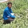 Liladhar Chavhan