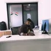Manish Mishra