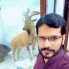 FAISAL MEHTAB