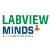 LabVIEW MINDS