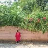 Yesaswini Namala