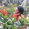 Saroja