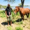 Paulus Ngotipeni Handobe