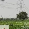 Aquib Javed