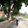 Niraj Kumar Tiwary