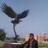 Shiv Raj Singh