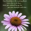 Sourav Sinha
