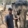 Sagar