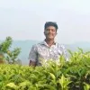 Gopi Krishna