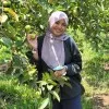 Sayyidah Bilandari