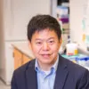 Yingxiao Wang