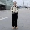 Haiyin Zhan