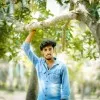 Prudhvi chollangi