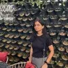 Ankita Srivastava