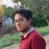 Vijayasarathi