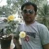 Sudheekar Reddy
