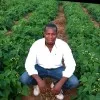 Aluwani Nengovhela