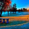 AJAY REDDY