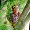 kowsalya moorthy