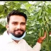 chandan Singh