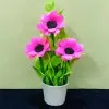 BETTY JOE
