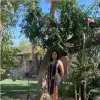 Nora Arana Pineda