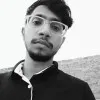 Mohd Adil Salmani