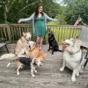 Meghan Dog Groomer