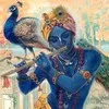 Rajesh Nethi