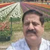 Ajay Wattal
