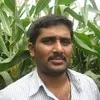 Anand