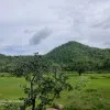 Sunima Nayak
