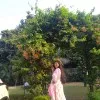 Gunjan