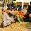 Zahoor Ul islam