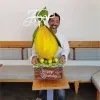 Mohamad Darwiche