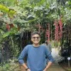 Bollam Mithil
