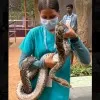 Pallavi Upadhyay