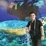 Lingga Ariansyah