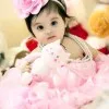 AFROZ TOBERIYA