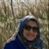Heba Massoud